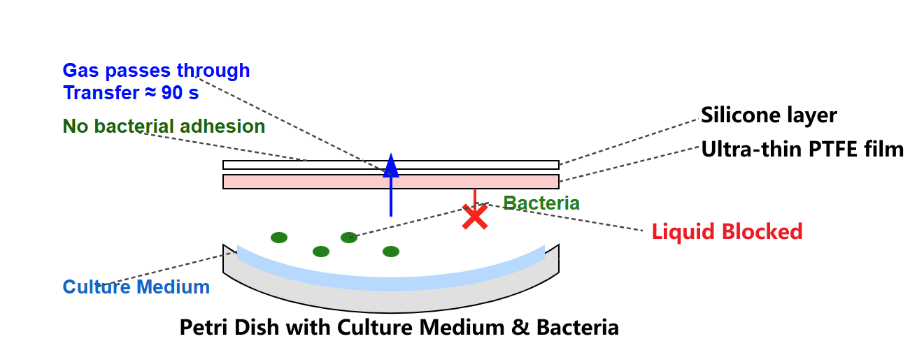 PTFE Silicone Composite Films for Pharmaceutical Microbial Testing